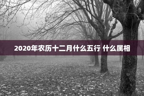 2020年农历十二月什么五行 什么属相