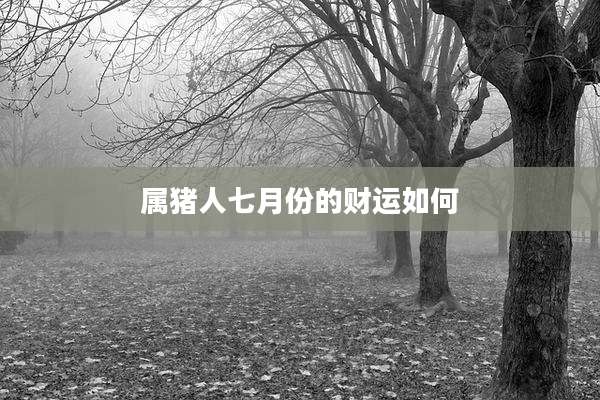 属猪人七月份的财运如何
