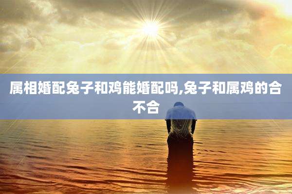 属相婚配兔子和鸡能婚配吗,兔子和属鸡的合不合