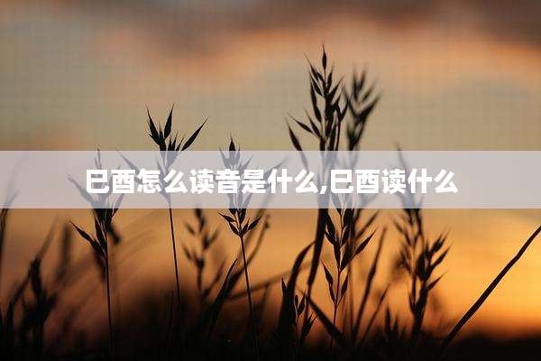 巳酉怎么读音是什么,巳酉读什么