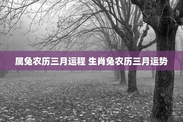 属兔农历三月运程 生肖兔农历三月运势