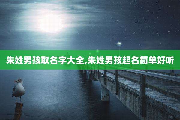 朱姓男孩取名字大全,朱姓男孩起名简单好听