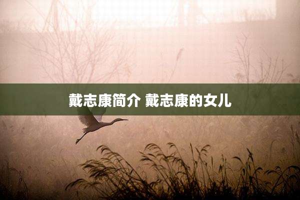 戴志康简介 戴志康的女儿
