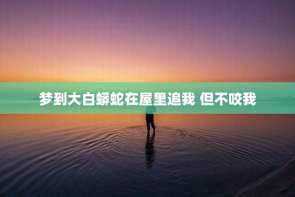梦到大白蟒蛇在屋里追我 但不咬我