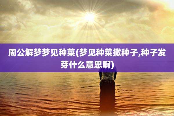 周公解梦梦见种菜(梦见种菜撒种子,种子发芽什么意思啊)