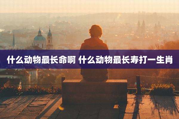 什么动物最长命啊 什么动物最长寿打一生肖