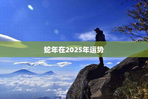 蛇年在2025年运势
