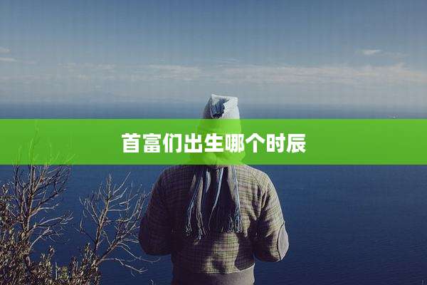 首富们出生哪个时辰