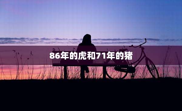 86年的虎和71年的猪