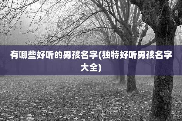 有哪些好听的男孩名字(独特好听男孩名字大全)