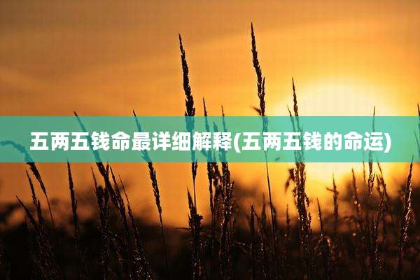 五两五钱命最详细解释(五两五钱的命运)