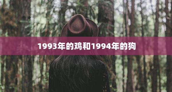 1993年的鸡和1994年的狗