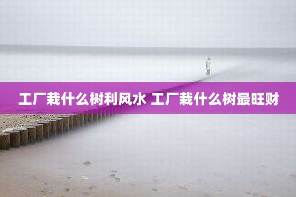 工厂栽什么树利风水 工厂栽什么树最旺财