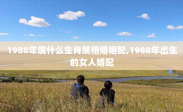 1988年属什么生肖属相婚姻配,1988年出生的女人婚配