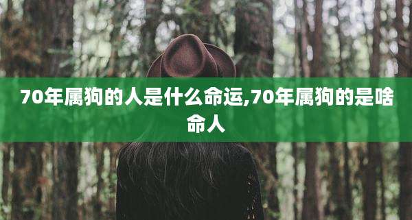70年属狗的人是什么命运,70年属狗的是啥命人