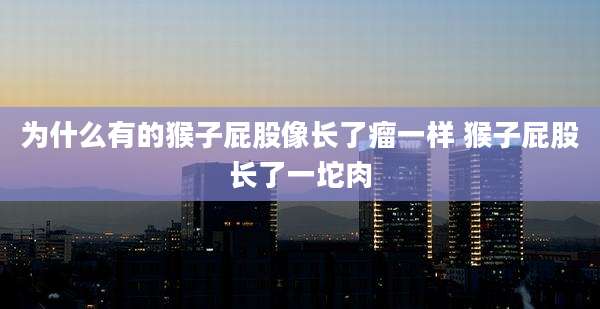 为什么有的猴子屁股像长了瘤一样 猴子屁股长了一坨肉