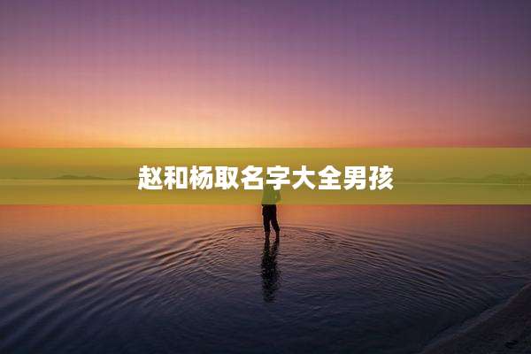 赵和杨取名字大全男孩