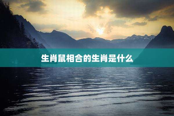 生肖鼠相合的生肖是什么