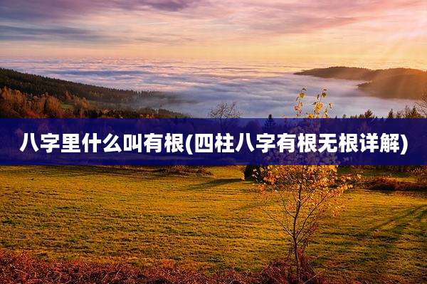八字里什么叫有根(四柱八字有根无根详解)