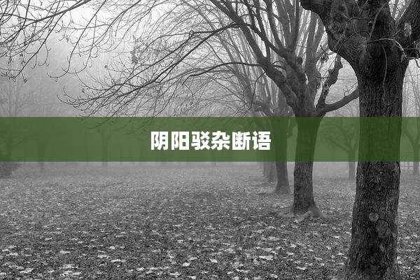 阴阳驳杂断语