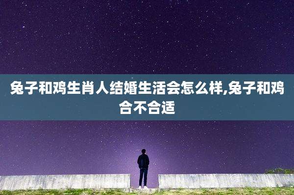 兔子和鸡生肖人结婚生活会怎么样,兔子和鸡合不合适