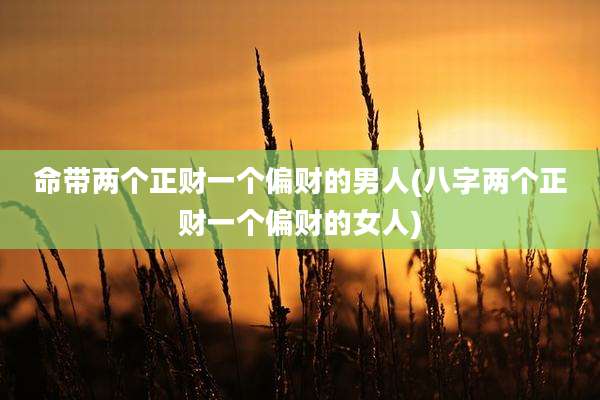 命带两个正财一个偏财的男人(八字两个正财一个偏财的女人)
