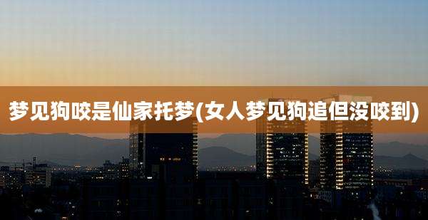梦见狗咬是仙家托梦(女人梦见狗追但没咬到)