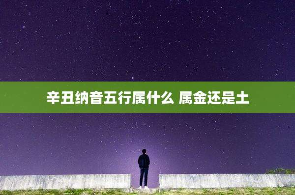 辛丑纳音五行属什么 属金还是土