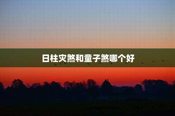 日柱灾煞和童子煞哪个好