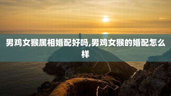 男鸡女猴属相婚配好吗,男鸡女猴的婚配怎么样