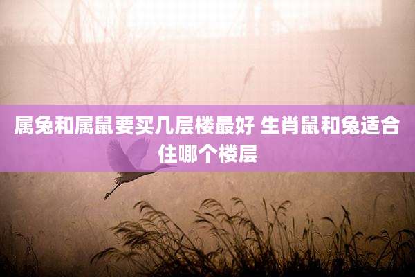 属兔和属鼠要买几层楼最好 生肖鼠和兔适合住哪个楼层