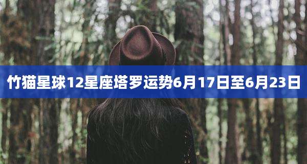 竹猫星球12星座塔罗运势6月17日至6月23日