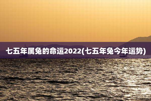 七五年属兔的命运2022(七五年兔今年运势)