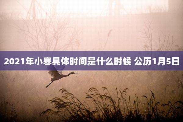 2021年小寒具体时间是什么时候 公历1月5日