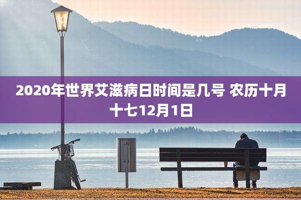 2020年世界艾滋病日时间是几号 农历十月十七12月1日