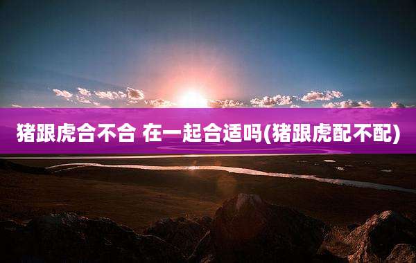 猪跟虎合不合 在一起合适吗(猪跟虎配不配)