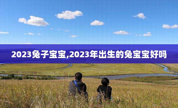 2023兔子宝宝,2023年出生的兔宝宝好吗