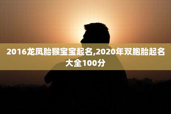 2016龙凤胎猴宝宝起名,2020年双胞胎起名大全100分