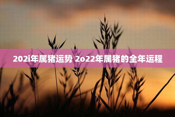 202i年属猪运势 2o22年属猪的全年运程
