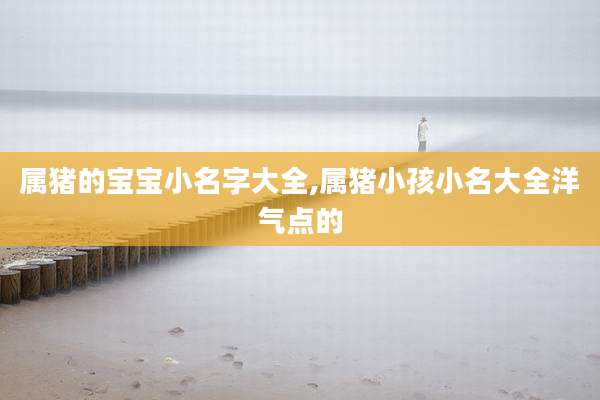 属猪的宝宝小名字大全,属猪小孩小名大全洋气点的