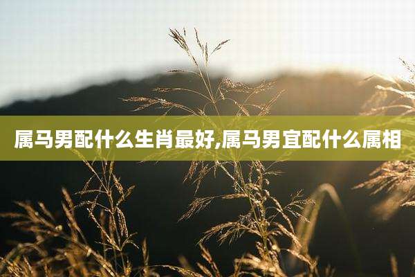 属马男配什么生肖最好,属马男宜配什么属相