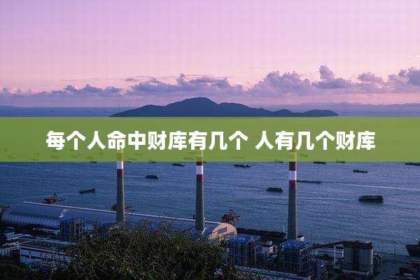 每个人命中财库有几个 人有几个财库