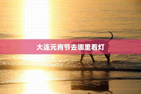 大连元宵节去哪里看灯