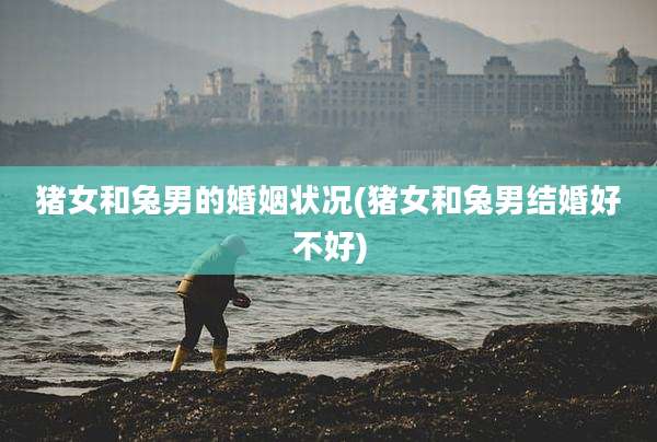 猪女和兔男的婚姻状况(猪女和兔男结婚好不好)