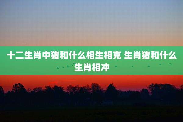 十二生肖中猪和什么相生相克 生肖猪和什么生肖相冲