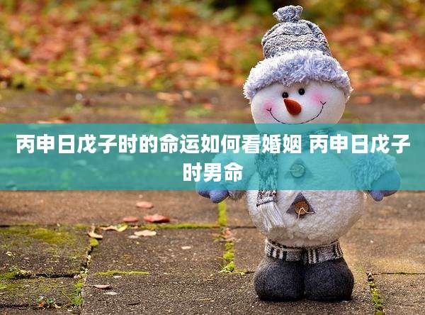 丙申日戊子时的命运如何看婚姻 丙申日戊子时男命