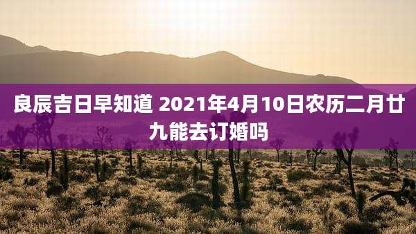良辰吉日早知道 2021年4月10日农历二月廿九能去订婚吗