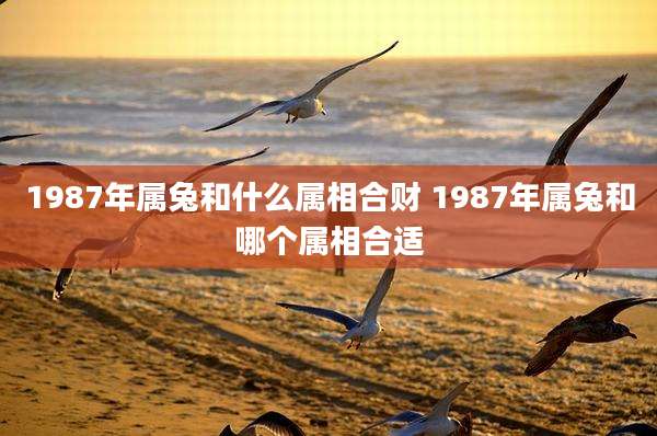 1987年属兔和什么属相合财 1987年属兔和哪个属相合适