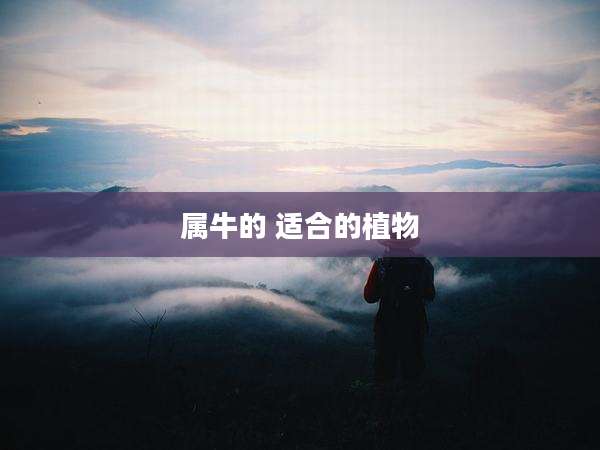 属牛的 适合的植物