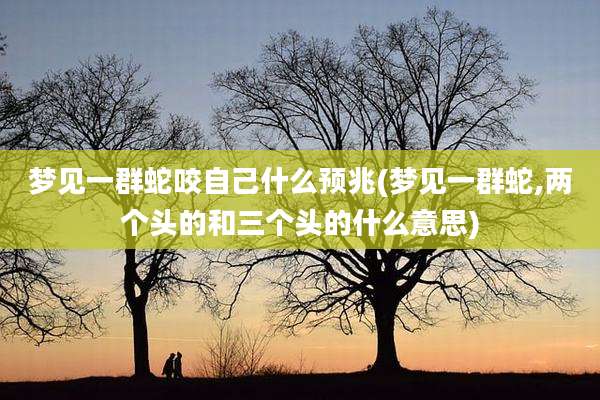 梦见一群蛇咬自己什么预兆(梦见一群蛇,两个头的和三个头的什么意思)